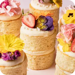 Menu 76 Mini Butter Cream Cake