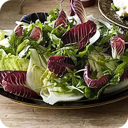 Menu 49 Radicchio, Bibb, et Fennel
