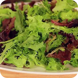Menu 46 Arcadian Mix