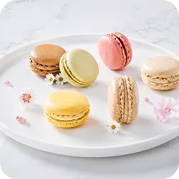 Menu 62 Macarons